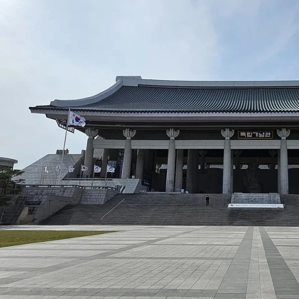 라운지 미나포레스트 테라피 안내 이미지