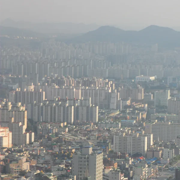 포레스트 새봄하우스 테라피 안내 이미지